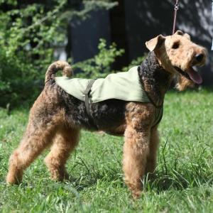 Охлаждающая попона для собак Osso Fashion, размер 25