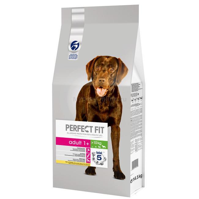 Perfect fit Adult корм для собак, 14.5 кг: купить с доставкой - Интернет  зоомагазин MyPet-Online.ru