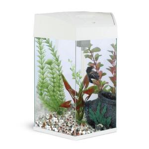 Аквариум для рыб AA-Aquarium Hexagon, белый