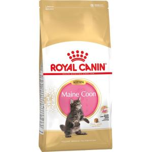 Корм для котят Royal Canin Kitten Maine Coon, 10 кг