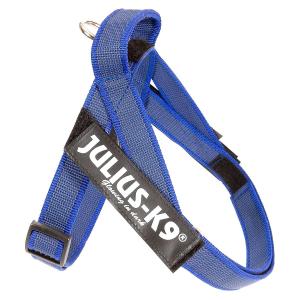 Шлейка  для собак JULIUS-K9 Color & Gray Mini S, синий
