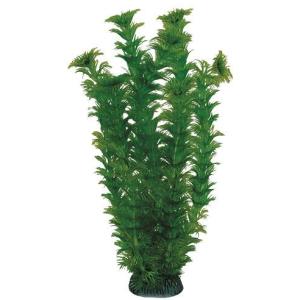 Растение для аквариума Laguna 1993, размер 20см., зеленый