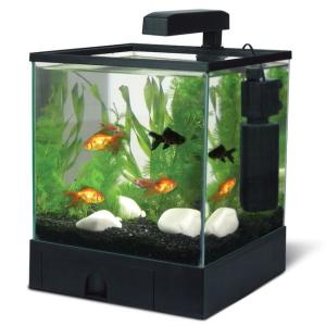 Аквариум для рыб AA-Aquarium  Aqua Box