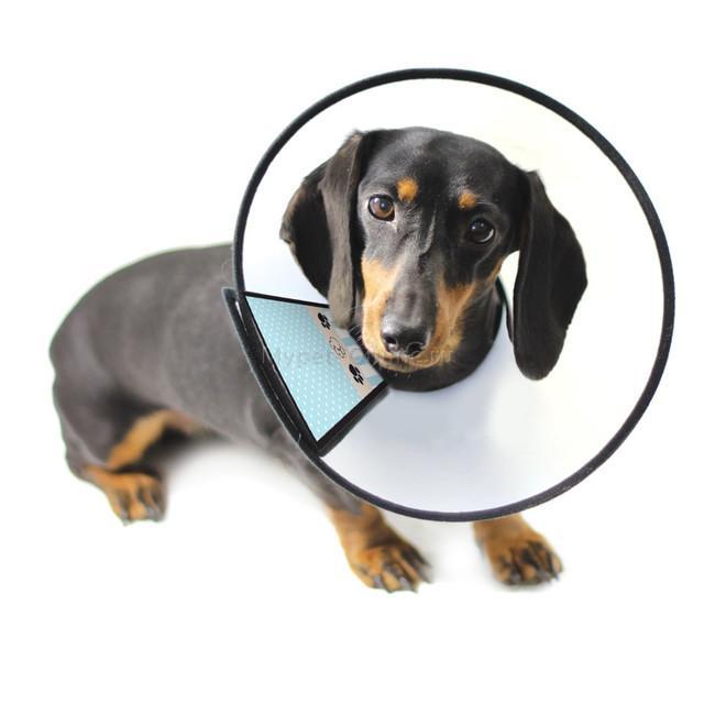 Защитный воротник для собак и кошек Trixie Protective Collar XS, размер 23-27/13см., серый