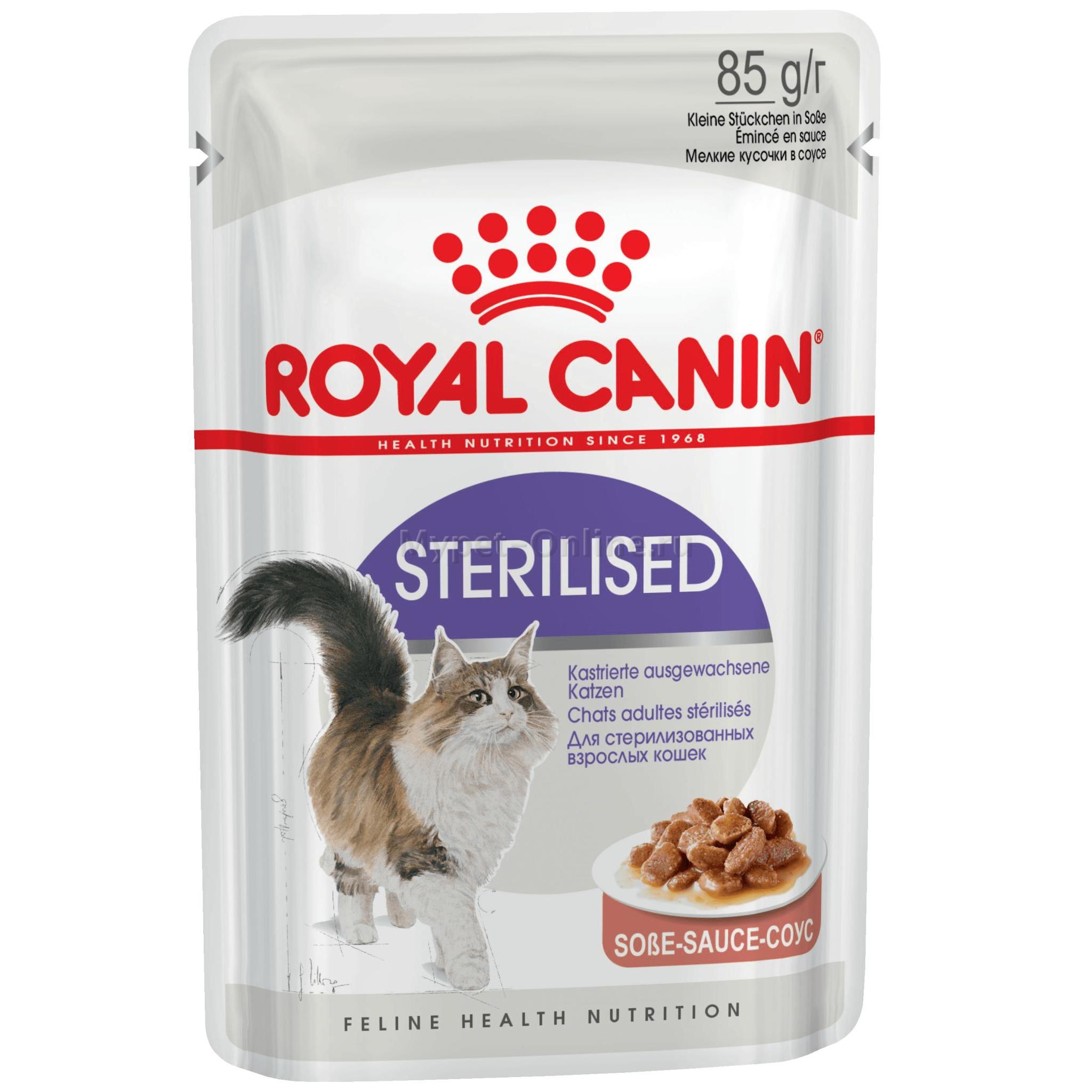Royal Canin Sterilised соус. Роял Канин для котят влажный. Royal Canin Kitten пауч для котят в соусе 85 гр. Royal Canin Sterilised паучи в желе.