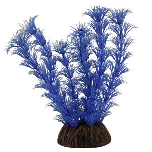 Растение для аквариума Laguna 1392, размер 10см., голубой
