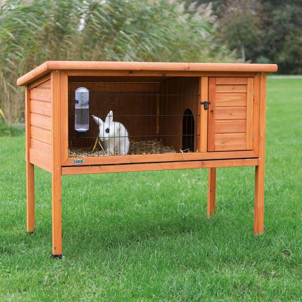 кролика домик фото