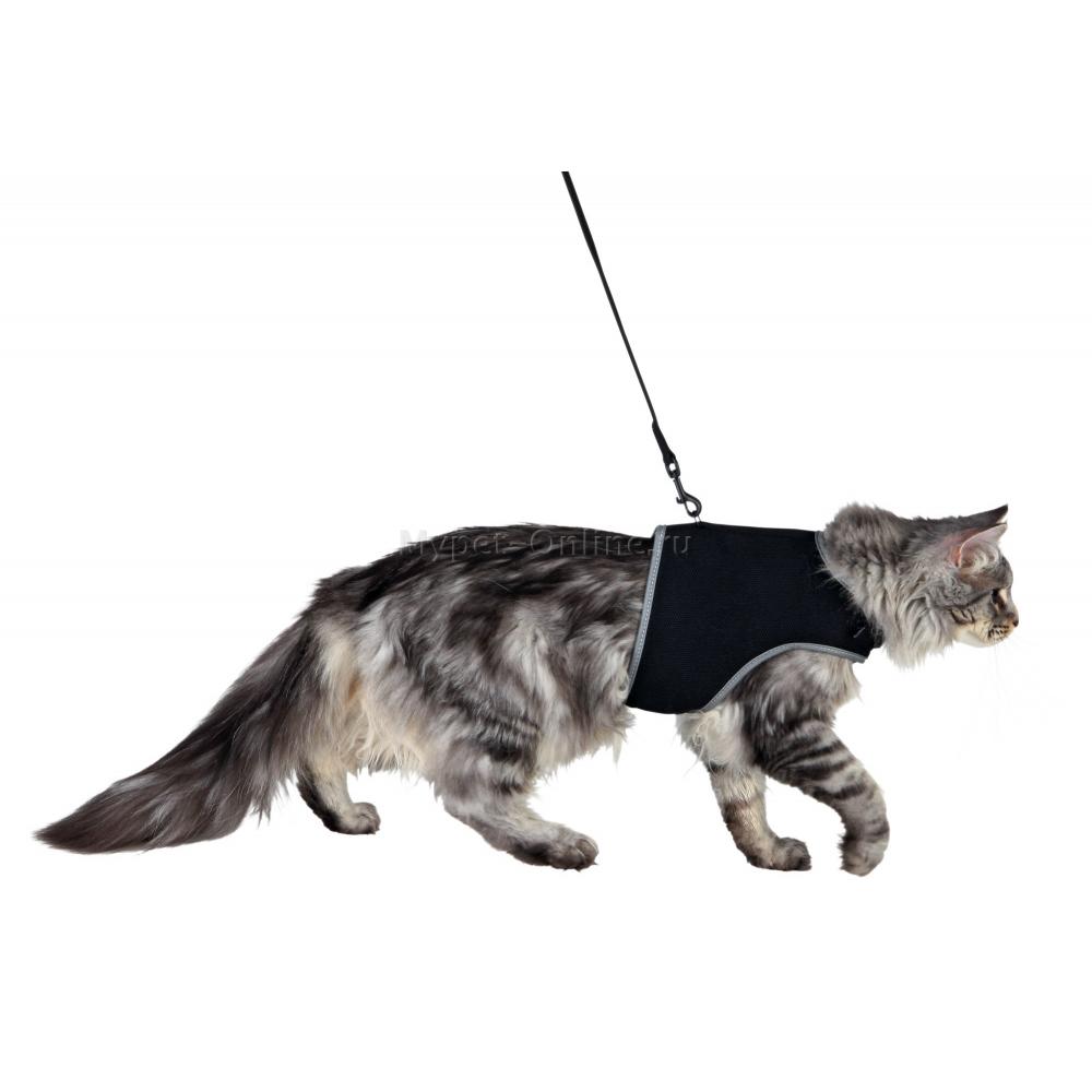Шлейка для кошек Trixie Cat Soft Harness, размер 36х54см., чёрный -  Интернет зоомагазин MyPet-Online.ru