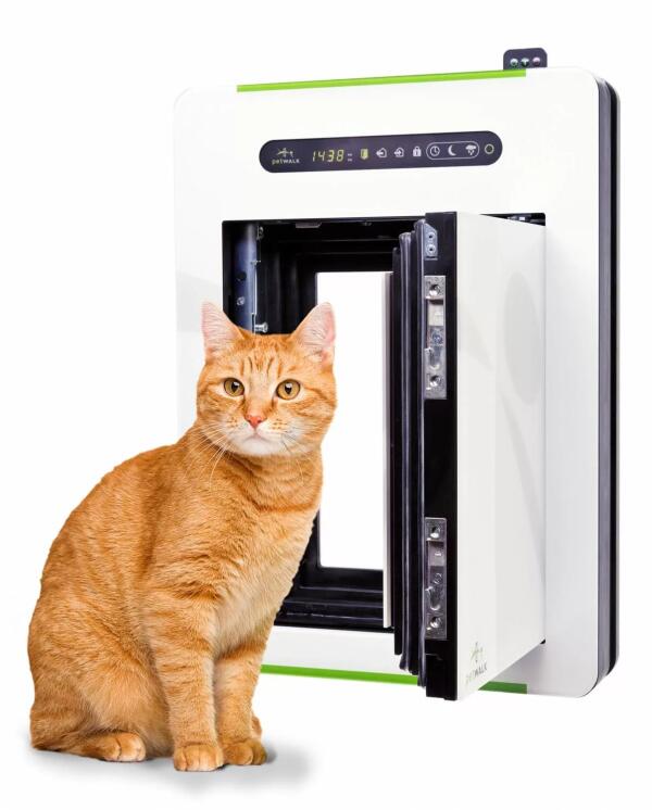 Дверцы для кошек и зачем они нужны - Интернет зоомагазин MyPet-Online.ru