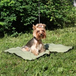 Охлаждающий коврик для собак Osso Fashion M, размер 50х70см.