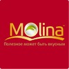 Molina (Молина)