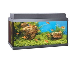 Аквариум для рыб Juwel Korall 60, 54 л, размер 60х30х30см., черный