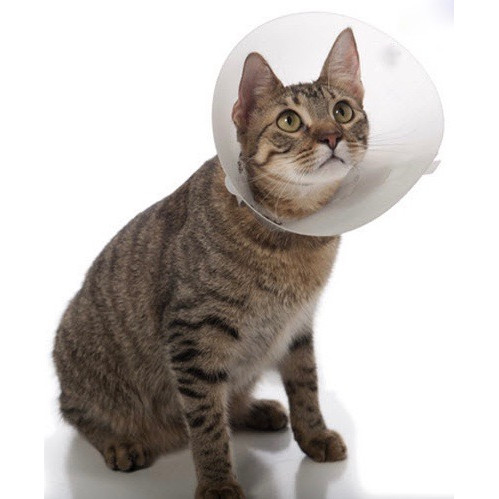 Защитный воротник для собак и кошек Trixie Protective Collar S, размер  28х33х12.5см. - Интернет зоомагазин MyPet-Online.ru